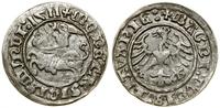 Polska, półgrosz, 1511