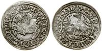 Polska, półgrosz, 1511