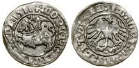 Polska, półgrosz, 1511