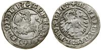 Polska, półgrosz, 1513