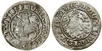 Polska, półgrosz, 1518