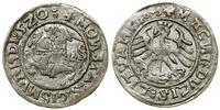 Polska, półgrosz, 1520