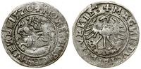 Polska, półgrosz, 1520