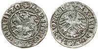 Polska, półgrosz, 1520