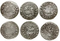 Polska, zestaw: 3 x półgrosz, 1509, 1510, 1513