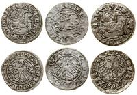Polska, zestaw: 3 x półgrosz, 1511, 1512, 1513