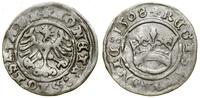 Polska, półgrosz, 1508