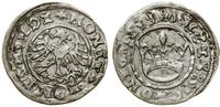 Polska, półgrosz, 1508