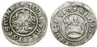 Polska, półgrosz, 1510