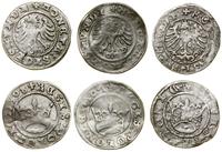 Polska, zestaw: 3 x półgrosz, 1507–1508