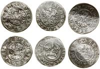 Polska, zestaw: 3 x półgrosz, 1508–1510