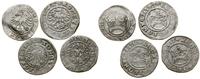 Polska, zestaw: 4 x półgrosz, 1509–1511