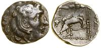Grecja i posthellenistyczne, drachma, (ok. 290–275 pne)