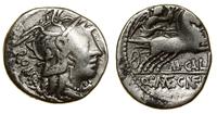 Republika Rzymska, denar, (117–116)