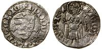 Węgry, denar, (1366–1382)