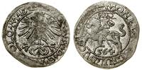 Polska, półgrosz, 1564