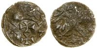 Polska, denar, 1547
