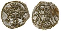 Polska, denar, 1549