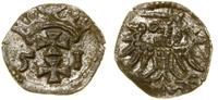 Polska, denar, 1551