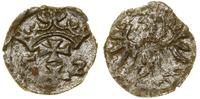 Polska, denar, 1552