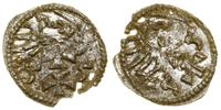Polska, denar, 1555