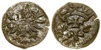 Polska, denar, 1556