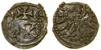 Polska, denar, 1554