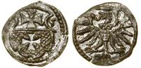Polska, denar, 1555
