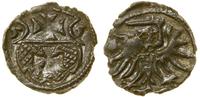Polska, denar, 1555
