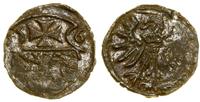 Polska, denar, 1556