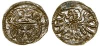 Polska, denar, 1557