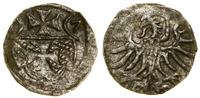 Polska, denar, 1557