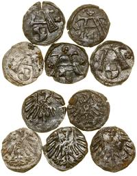 Prusy Książęce (1525–1657), lot 5 x denar, bez daty