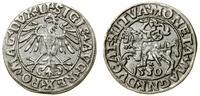 Polska, półgrosz, 1550