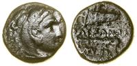 Grecja i posthellenistyczne, brąz, (ok. 336–323 pne)