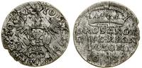 Polska, dwugrosz, 1650