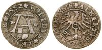 Prusy Książęce (1525–1657), szeląg, 1552