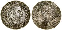 Prusy Książęce (1525–1657), grosz, 1543