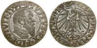 Prusy Książęce (1525–1657), grosz, 1544