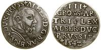 Prusy Książęce (1525–1657), trojak, 1542