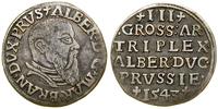Prusy Książęce (1525–1657), trojak, 1543
