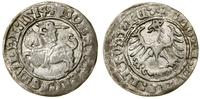 Polska, półgrosz, 1514
