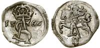 Polska, dwudenar, 1566