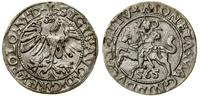 Polska, półgrosz, 1565