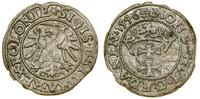 Polska, szeląg, 1546