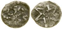 Pomorze Zachodnie, denar, XV w.