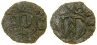 Śląsk, halerz, (1381–1407)
