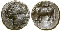 Grecja i posthellenistyczne, didrachma, 400–360 pne