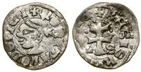 Polska, denar, (1358–1366)