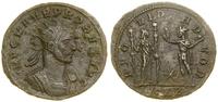 Cesarstwo Rzymskie, antoninian bilonowy, (276–282)